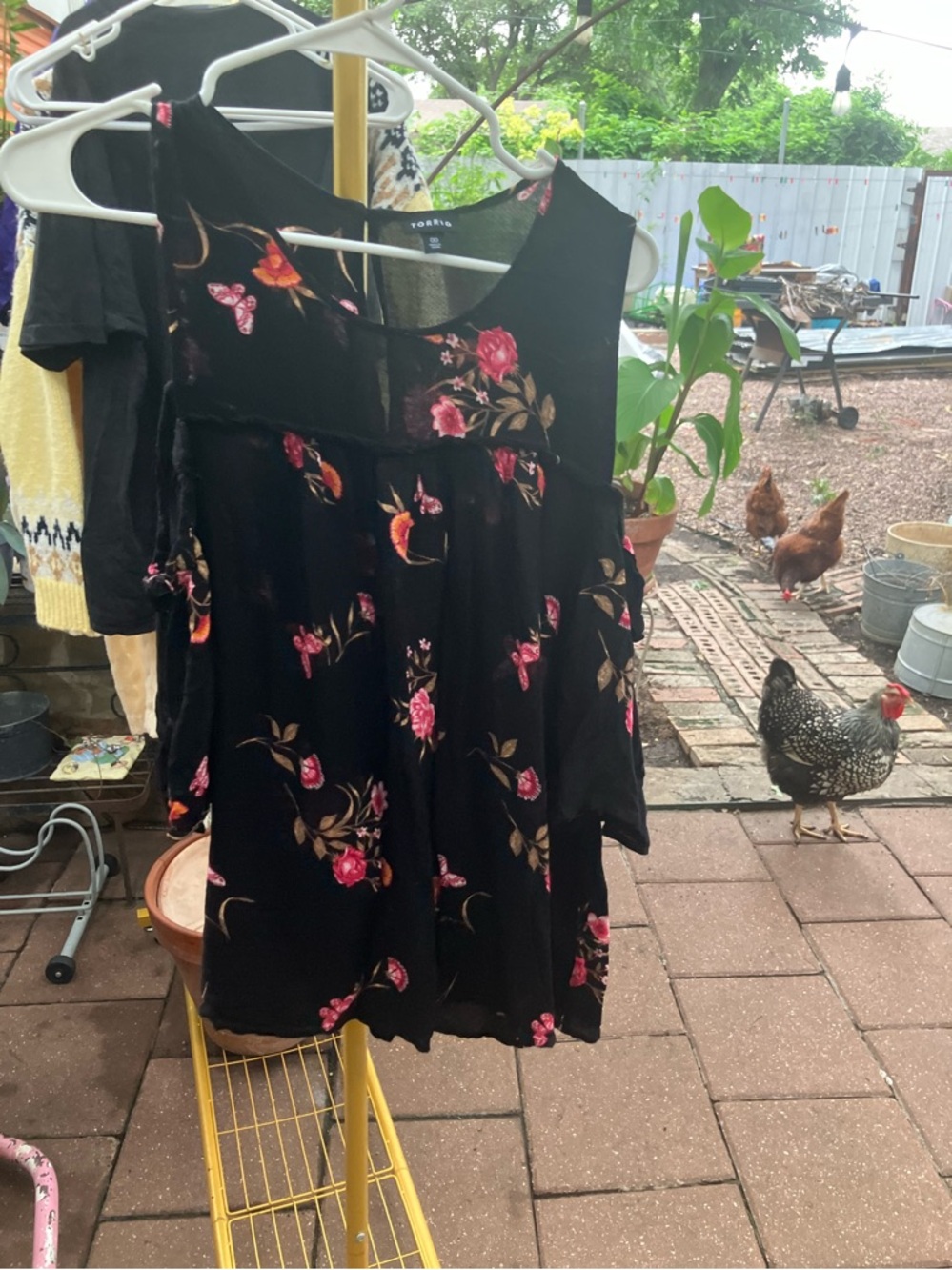 Beautiful blouse
